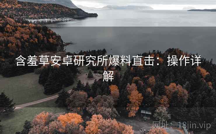 含羞草安卓研究所爆料直击：操作详解