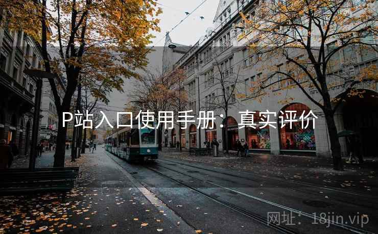 P站入口使用手册：真实评价