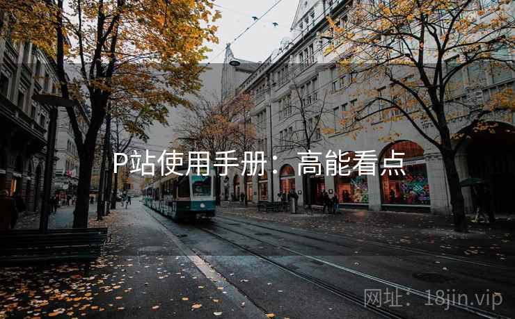 P站使用手册：高能看点