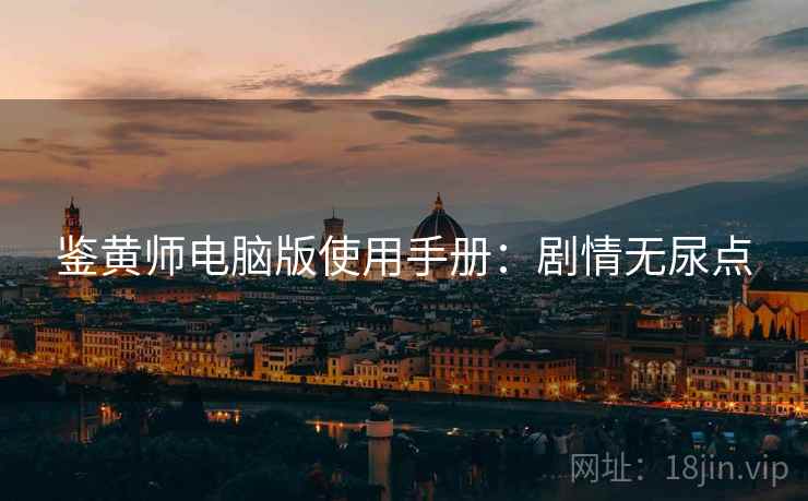 鉴黄师电脑版使用手册：剧情无尿点